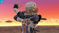 Super Smash Bros.