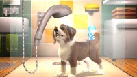 PlayStation Vita Pets