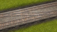 Train Fever
