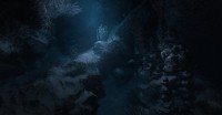 Narcosis