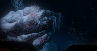 Narcosis