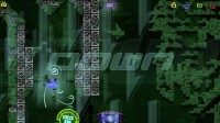 Schrödinger's Cat and the Raiders of the Lost Quark