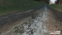 Sébastien Loeb Rally Evo