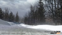 Sébastien Loeb Rally Evo