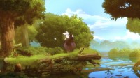 Ori and the Blind Forest