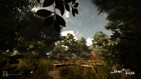 The Town of Light