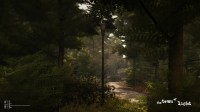 The Town of Light