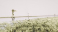 Tangiers