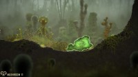 Mushroom 11