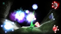 Light of Life