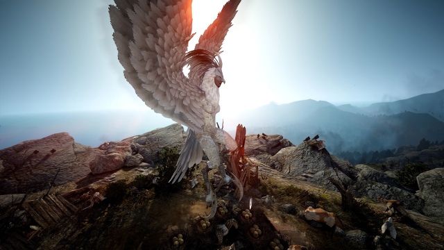 Black Desert Online