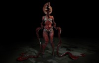 Phoenix Point