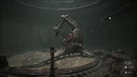Scorn