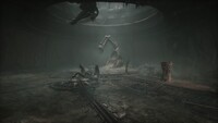 Scorn