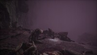 Scorn