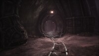 Scorn
