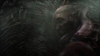 Scorn