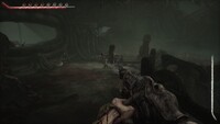 Scorn