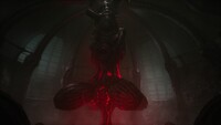 Scorn