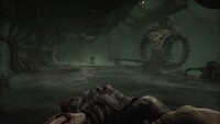 Scorn