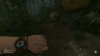Green Hell