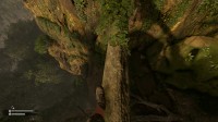 Green Hell