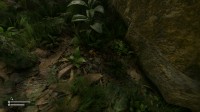 Green Hell