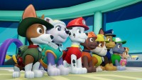 Paw Patrol: On a Roll