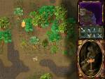 Rage of Mages 2