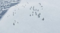 Natural Instincts