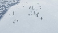 Natural Instincts