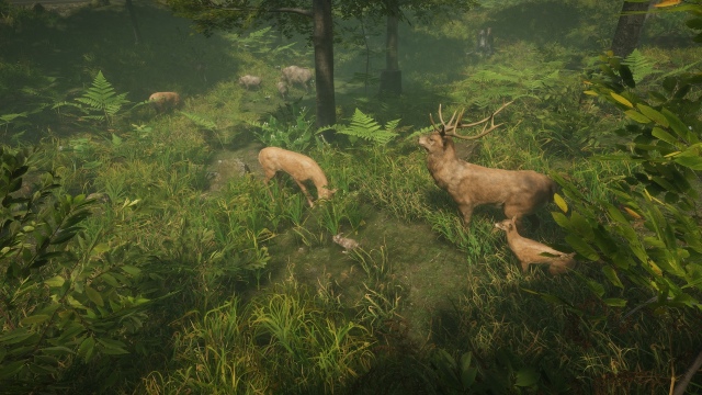 Natural Instincts