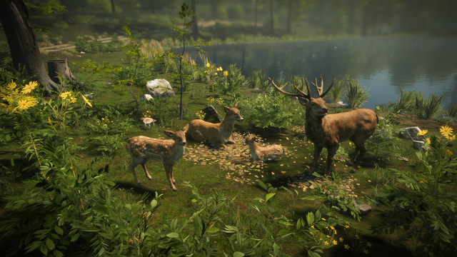 Natural Instincts