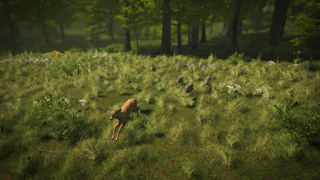 Natural Instincts