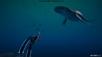 Beyond Blue