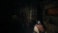 Resident Evil Village