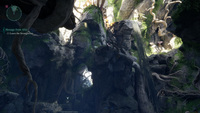 Avowed