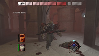 BloodRayne: Terminal Cut