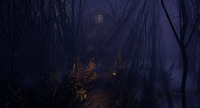 Dark Moonlight