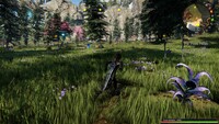 Edge of Eternity