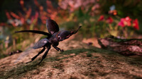 AWAY: The Survival Series