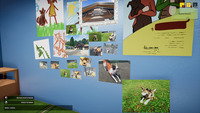 Animal Shelter