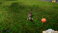 Animal Shelter
