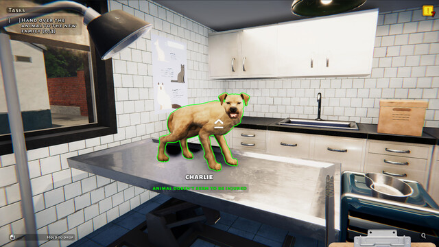Animal Shelter