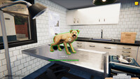 Animal Shelter