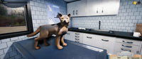 Animal Shelter