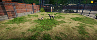 Animal Shelter