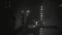 White Shadows