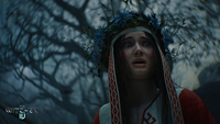 The Witcher 4