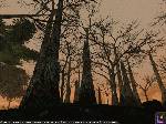 Star Wars Galaxies: An Empire Divided
